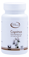 Coprinus Extrakt Kapseln 60 STCK